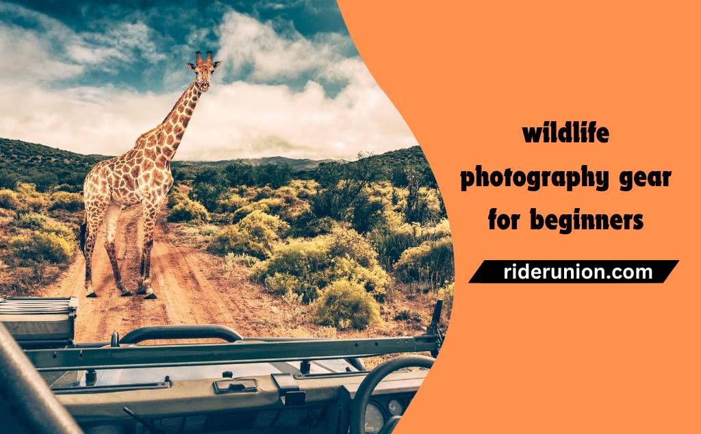 Wildlife photography gear for beginners | Rider Union
